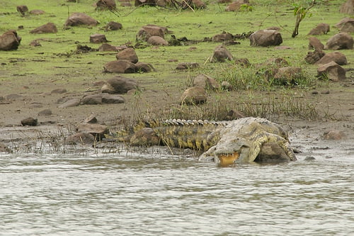 mozambique lago