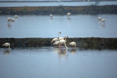 Naturaleza y luz en Huelva