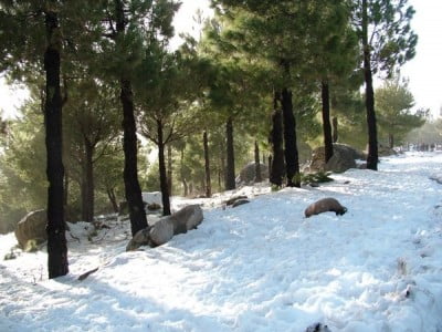 Nieve en las montañas