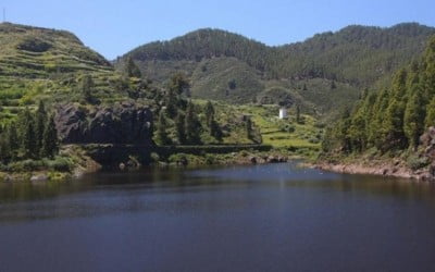 Parque de Tamadaba, isla de Gran Canaria