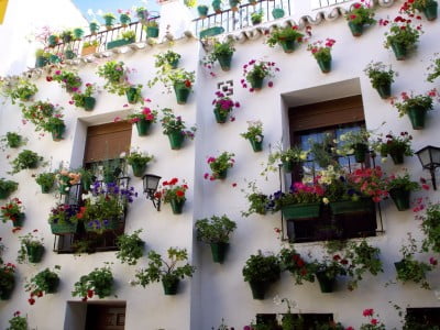 Patio de Córdoba