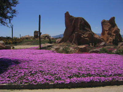 Primavera de Almería