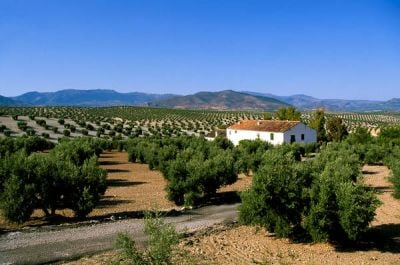 rutas gastronómicas jaén