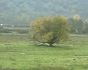 Rutas por la Sierra Árbol de Bilbo