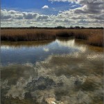 Fotografia de las Tablas de Daimiel