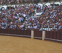 Fiesta Taurina de San Fermín