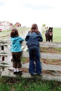 Turismo rural con niños admirando