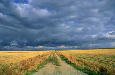 Turismo rural en Ávila campo