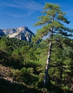 Turismo rural en Cazorla sierra