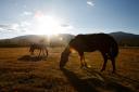 Turismo Rural en Mongolia