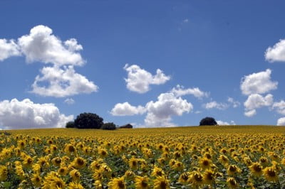 Verano de Córdoba