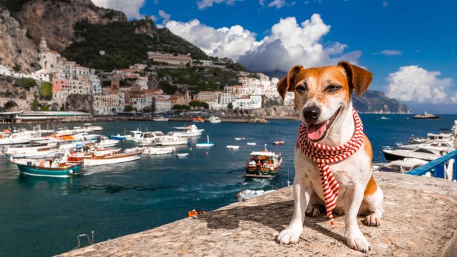 Viajar con perro a Italia