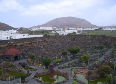 Vista general del Jardín de Cactus