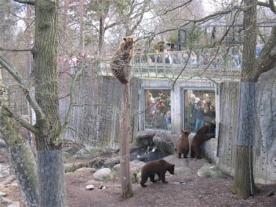 Skansen Zoo