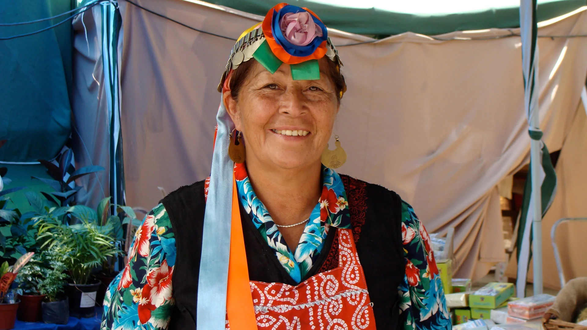 Comunidades indíxenas en Chile