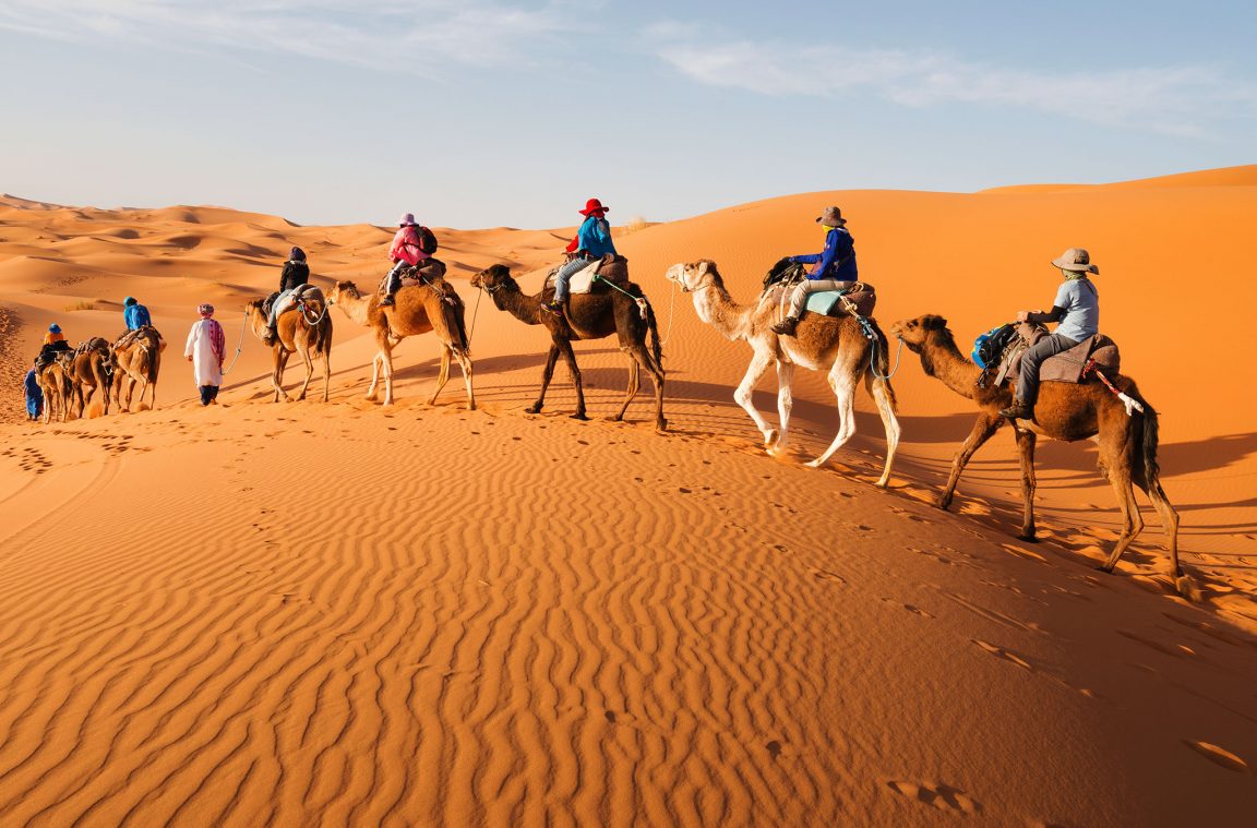 De Sahara: een unieke woestijn