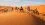 15 sorprentes curiosidades sobre el desierto del Sáhara