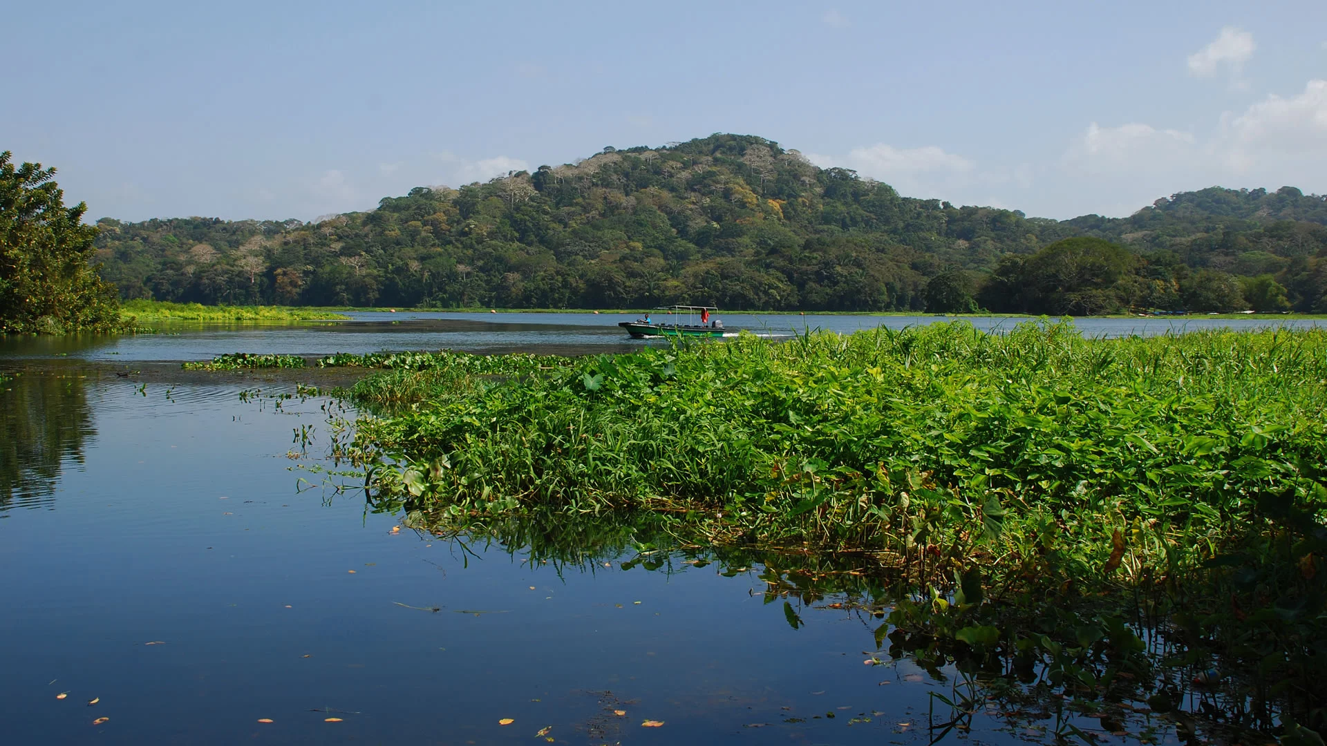 Gatun-meer (Panama)