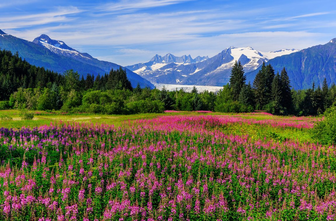 Juneau Landscape