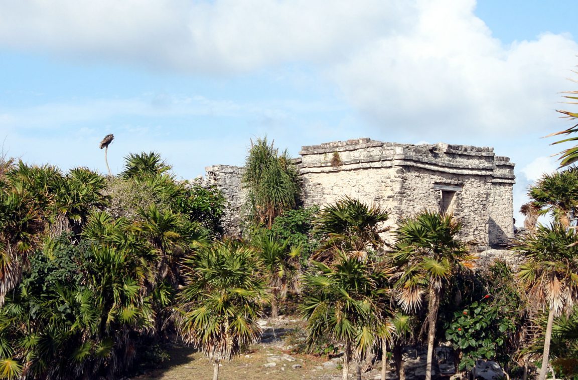 De Maya-cultuur