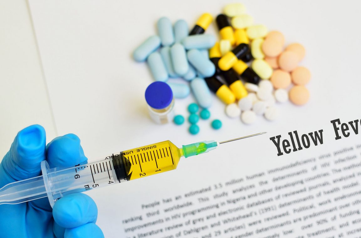 Brezilya sarı humması aşısı