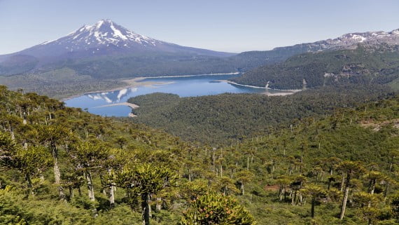 Vistas desde el Parque nacional Conguillío del Volcán Llaima, Chile