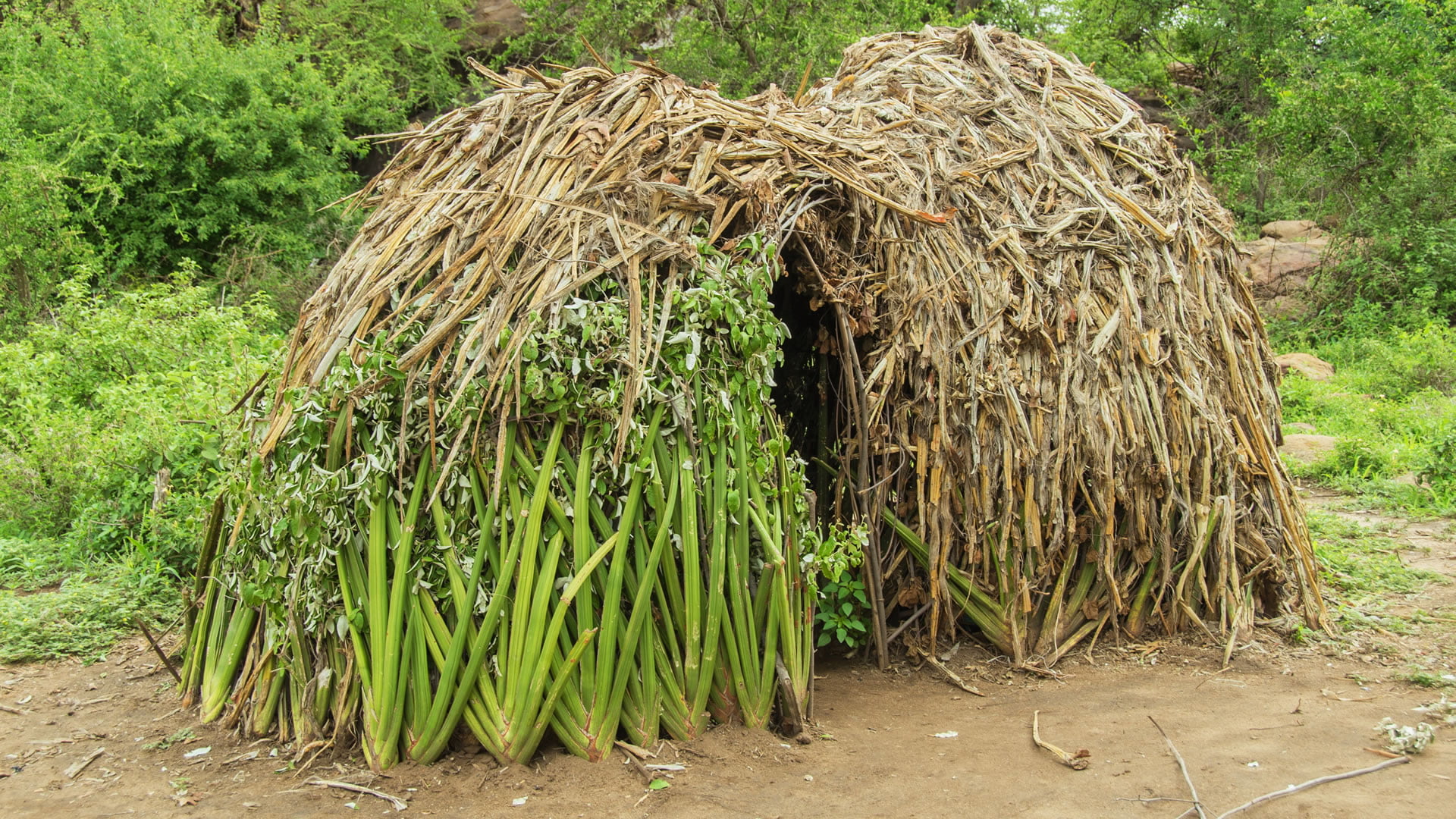 Vivienda típica Pueblo Hadza (Tanzania Central)