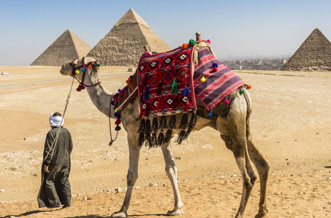 Egypt and the Muslim tradition