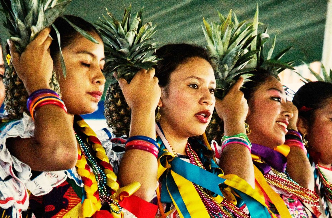 De merkwaardige dans van de ananasbloem, Mexico