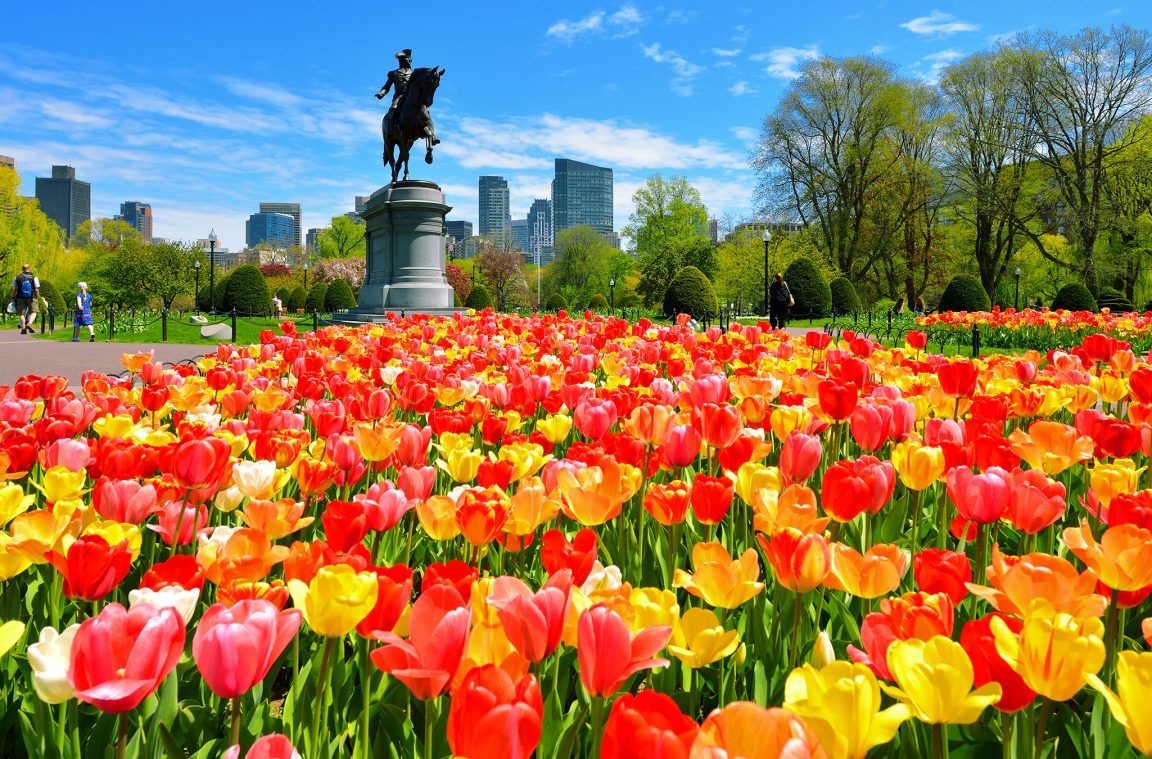 Il giardino pubblico fiorito a Boston, Massachusetts