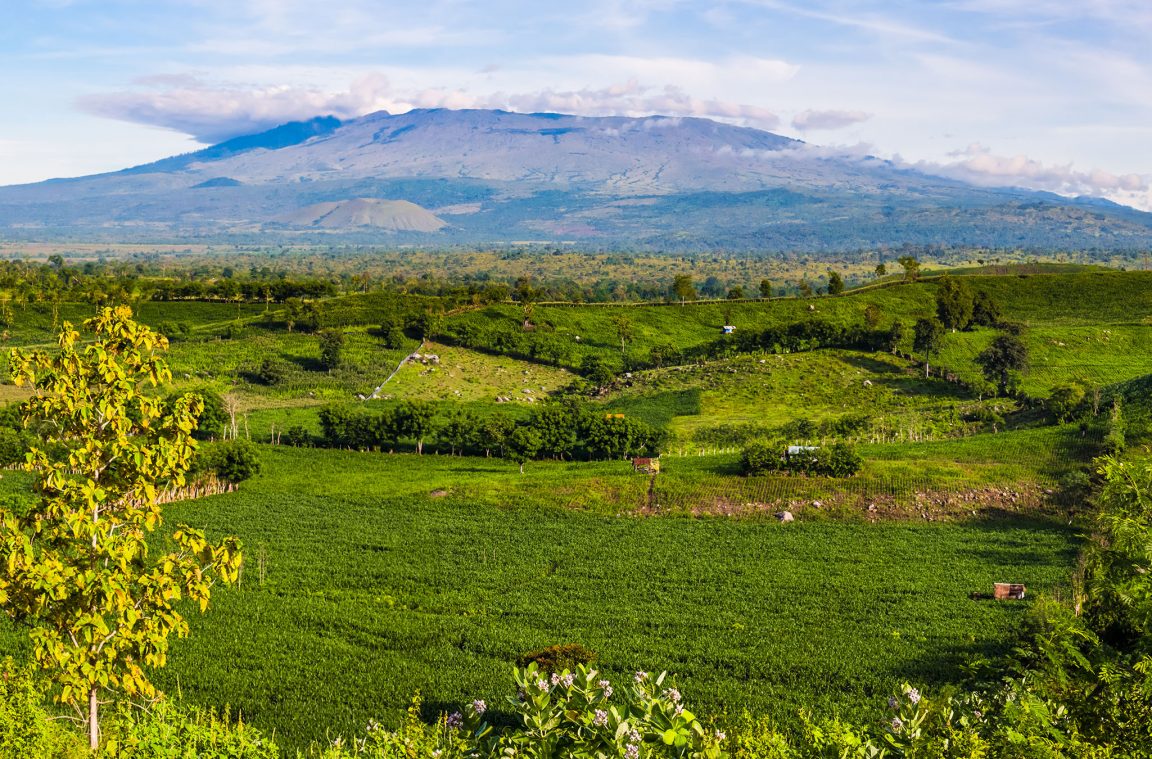 O vulcão Tambora e o ano sem verão