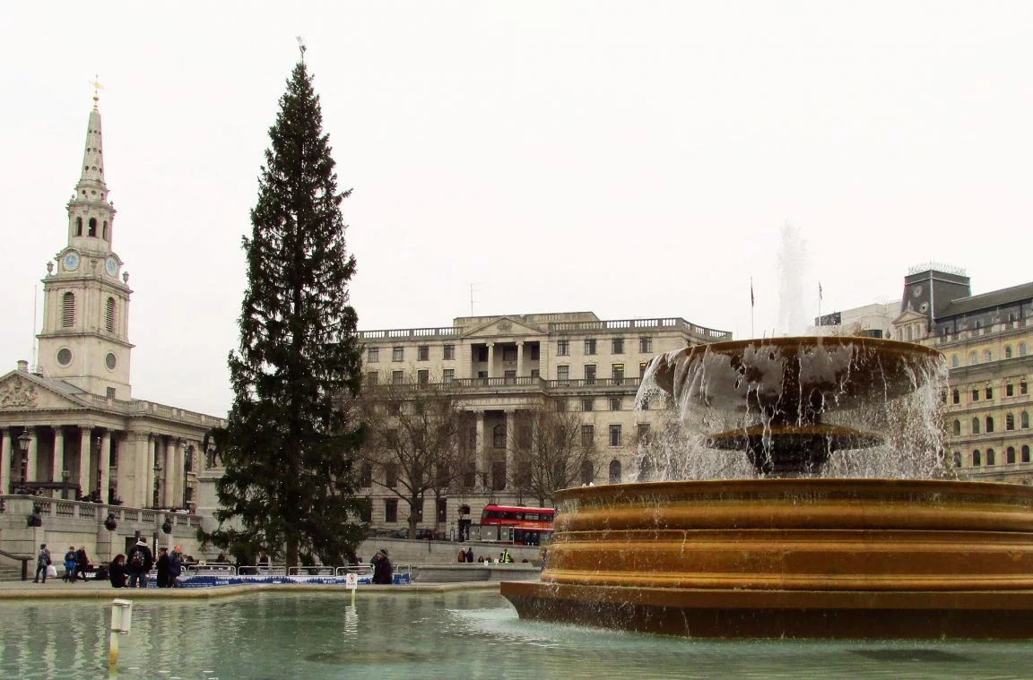 Christmas tree in Trafalgar Square, London