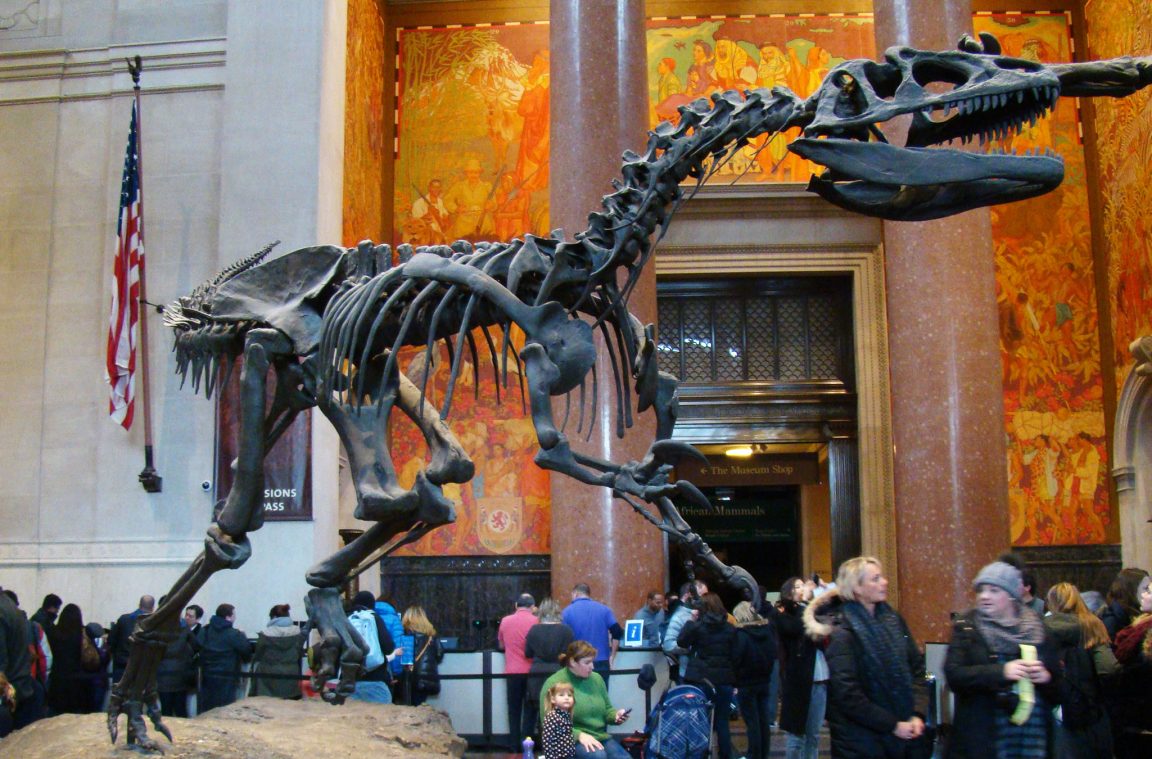 Museo Natural de Nueva York