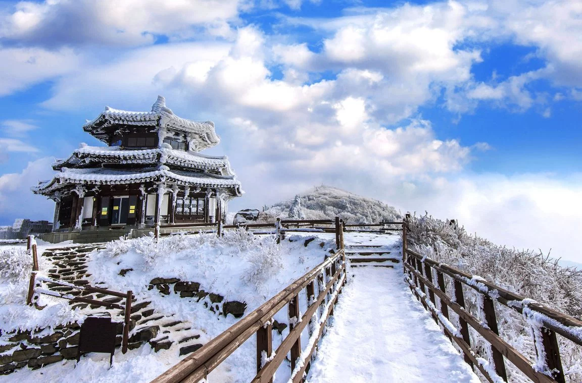Paisaxe nevada no parque nacional Deogyusan, Corea do Sur