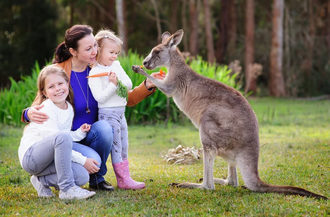 Ταξιδεύοντας στην Αυστραλία με παιδιά